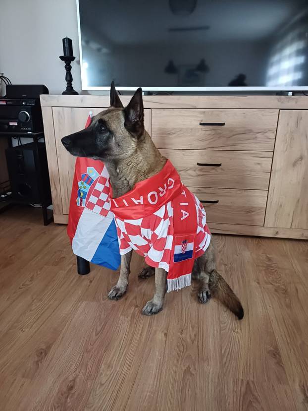 ŠAPE GORE! Ovako navijaju za repku ljubimci naših čitatelja