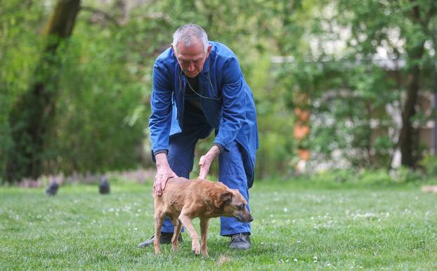 24SATA Zagreb: Ivica Penić i pas Bobi