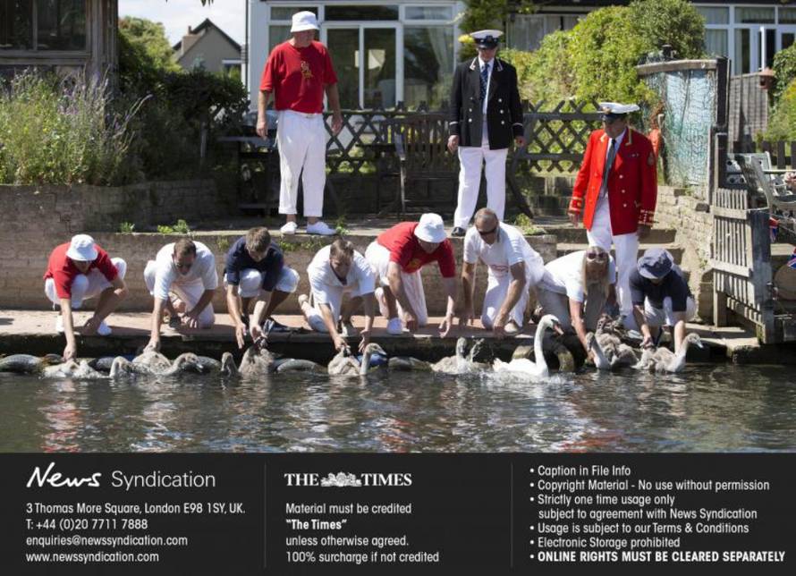 News Syndication/PIXSELL