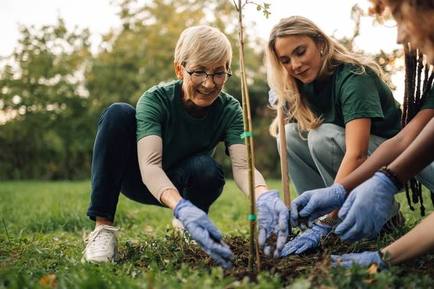 Volunteers,Wearing,Gloves,And,Working,Together,To,Plant,A,Tree
