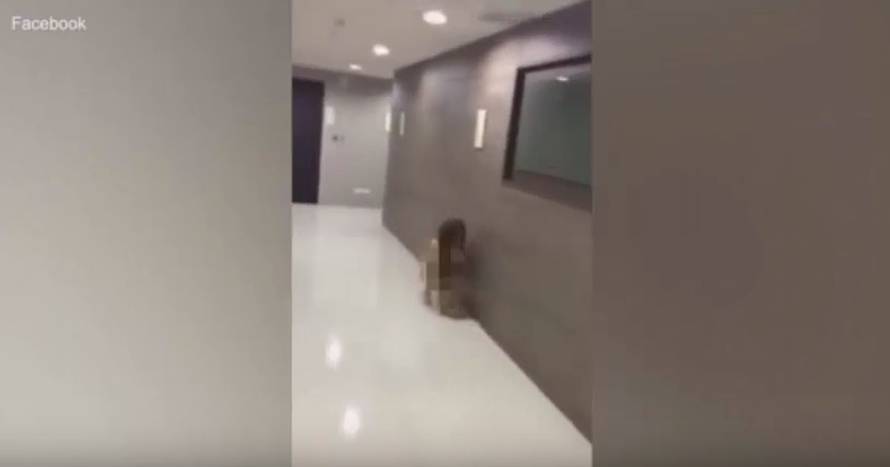 Zatekla ih u klinču: Ljubavnicu supruga golu izbacila iz stana