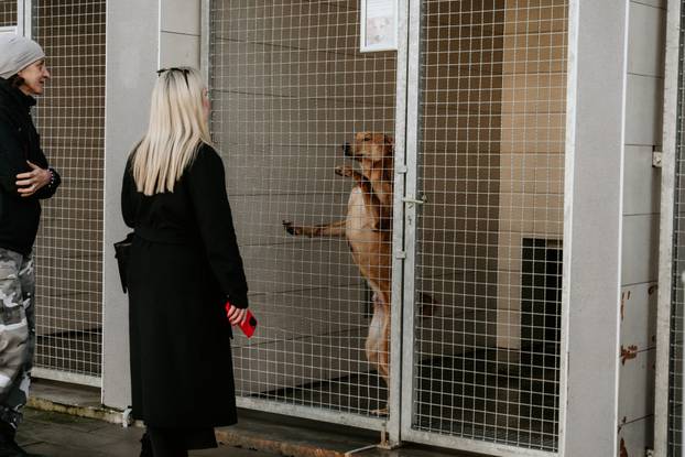 FOTO Igrači Cibone darovali su njuškice u Dumovcu i u vrijeme blagdana pokazali veliko srce