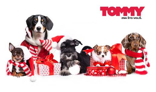 Tommy već četvrtu godinu zaredom ne prodaje pirotehnička sredstva