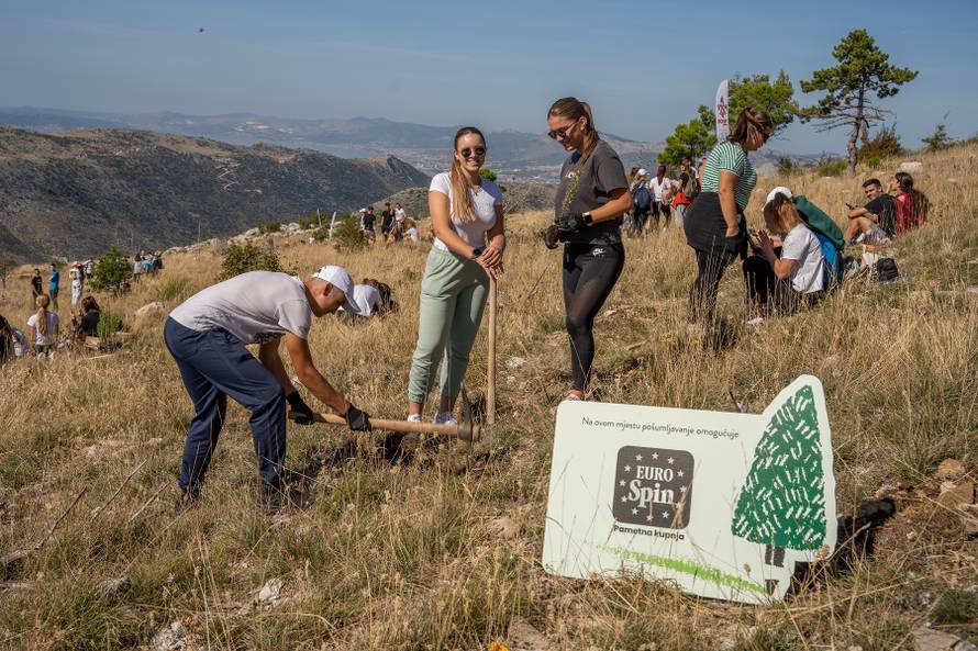Boranka i Eurospin - Za Projekt pošumljavanja Eurospin će zasaditi 3.000 stabala
