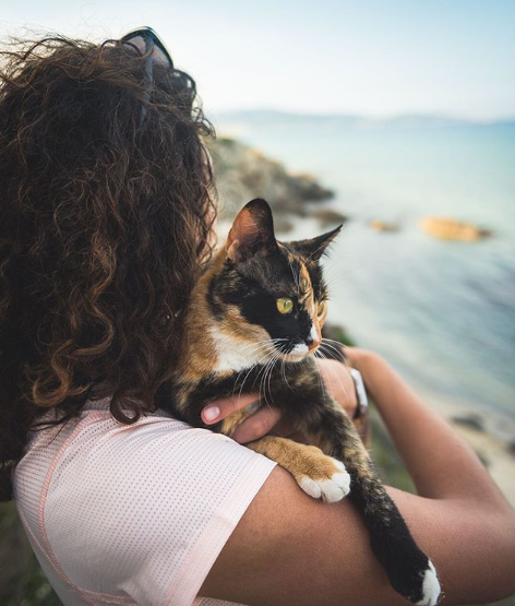 Kako je maca iz Splita krenula na put po svijetu u kamperu