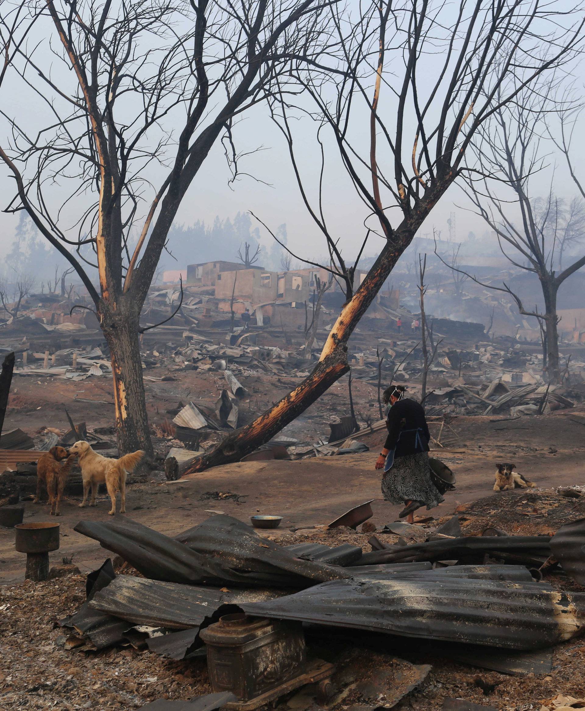 A woman walks near burnt houses as the worst wildfires in Chile's modern history ravage wide swaths of the country's central-south regions, in Santa Olga