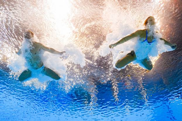 World Aquatics Championships