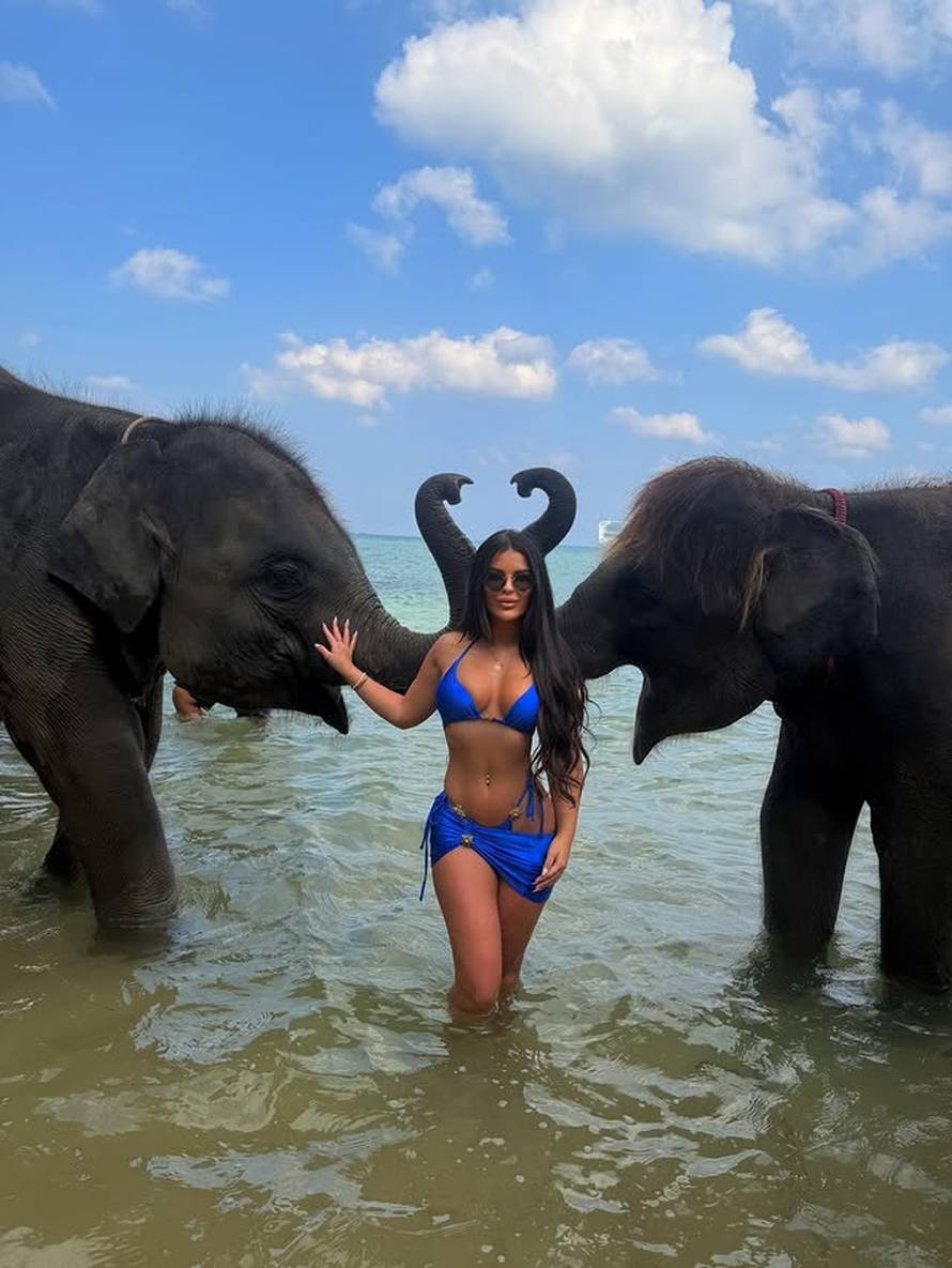 'Savršeni' su damama podijelili bijele ruže: 'Ovo je samo potvrda da osjećamo isto...'