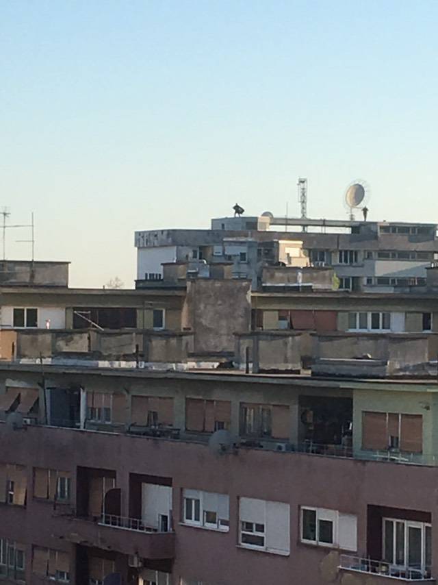 Vitez tame u Zagrebu: Je li se ono ukazao Batman na krovu?