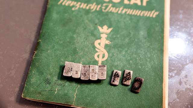 The dies from a tattoo kit, and a manual, are displayed at an Israeli auction house which says they were used on inmates at Auschwitz death camp, in Gilo