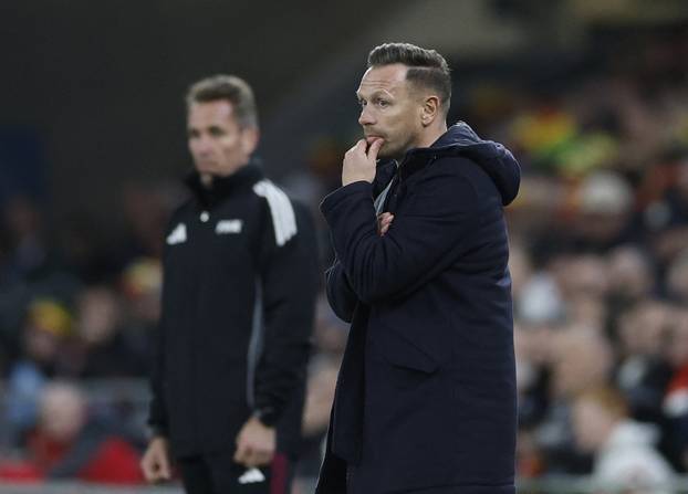 FIFA World Cup - UEFA Qualifiers - Semi Final - Wales v Bosnia and Herzegovina