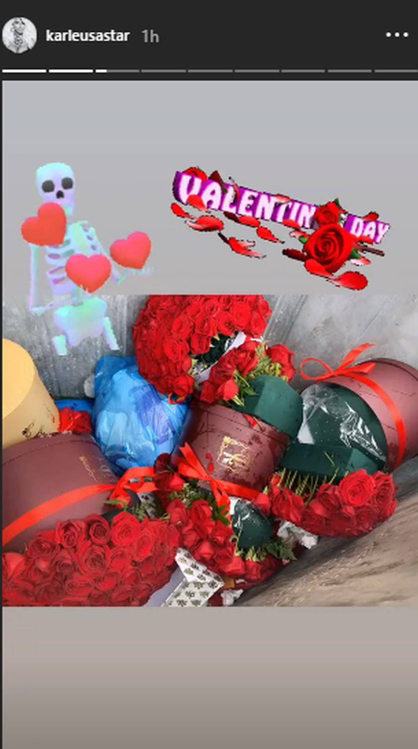 Karleuša sama za Valentinovo: Pokazala ruže bačene u smeće