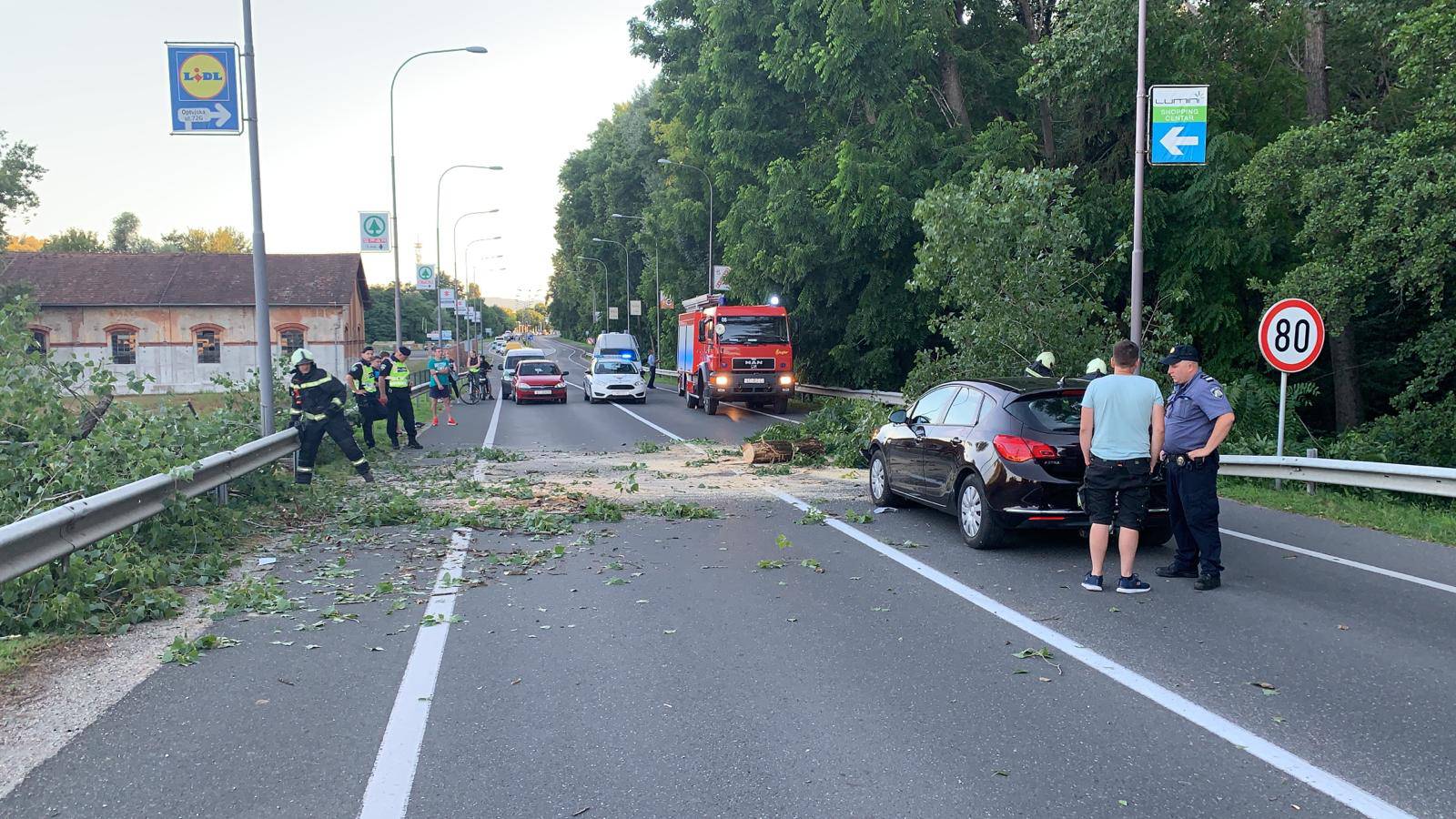 Usred vožnje na dva auta palo  drvo: 'Srećom nema ozlijeđenih'