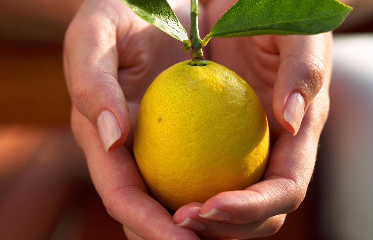 Što odabrati: svježi limun ili suplemente vitamina C?