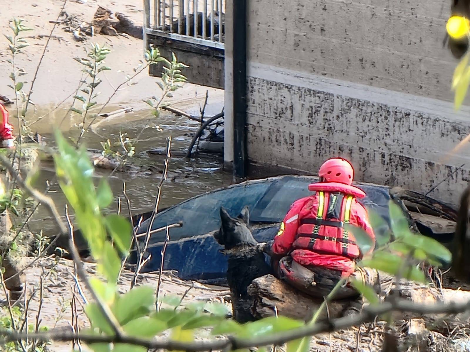 FOTO Ovo je naša Zara. Pomaže u Jablanici, traži nestale: 'Ona može zamijeniti i 30 spasilaca'