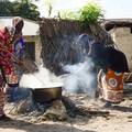 Zapadna Afrika suočena s povijesnom nestašicom hrane