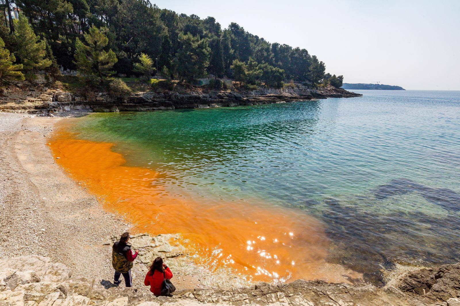 Cvjetanje mora na pojedinim pulskim plažama