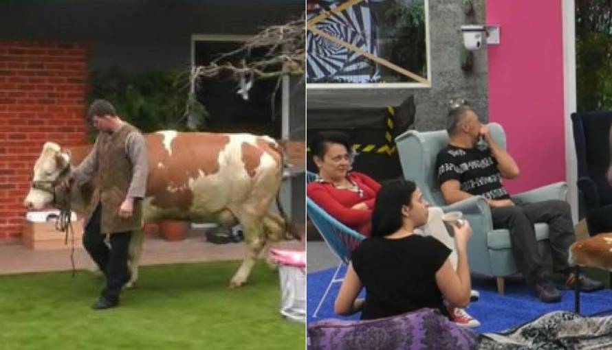 BB Ana-Marija: Bojane, mislila sam da ću imati nešto s tobom