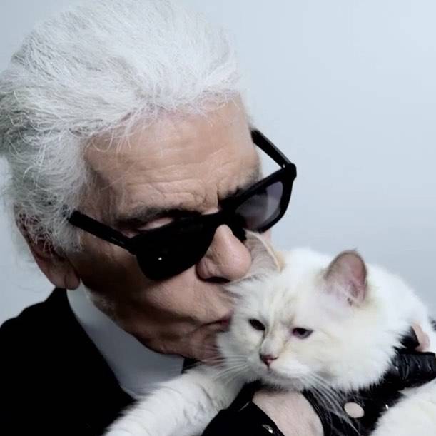 Karl spasio Chanel od propasti, volio je krpice i svoju mačku