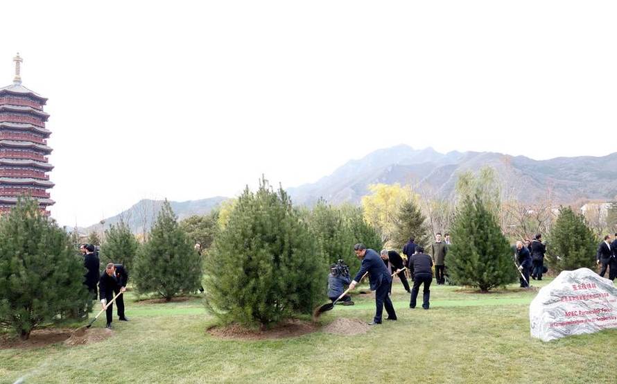 (APEC 2014) CHINA-BEIJING-ECONOMIC LEADERS¡¯ MEETING-TREES (CN)