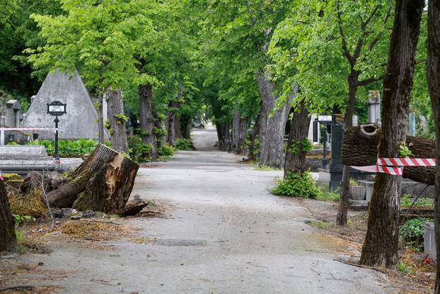U oluji porušena stabla na Mirogoju napravila su veliku štetu