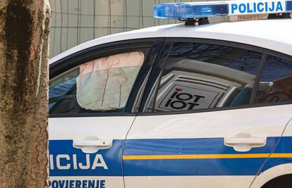 Kamionom udario curicu (7) na pješačkom prijelazu u Varaždinu