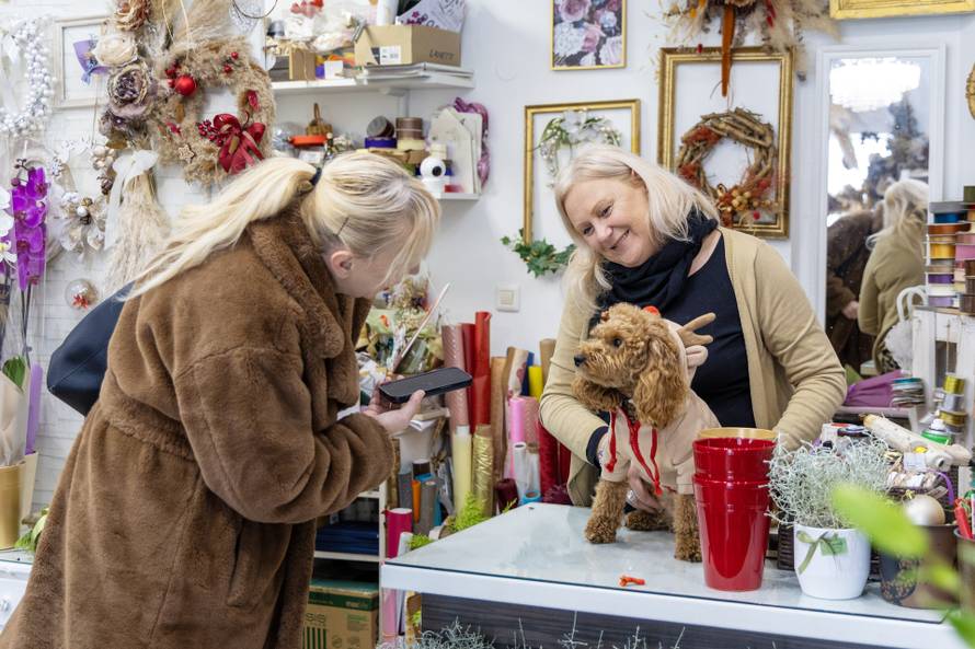 24sata: Pula: Pas pozira ispred cvjećarnice i glumi soba