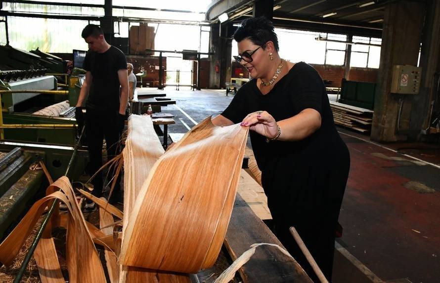 Brena na svadbi, USKOK u kući: Najskuplje trupce u Hrvatskim šumama prodavali su kao škart