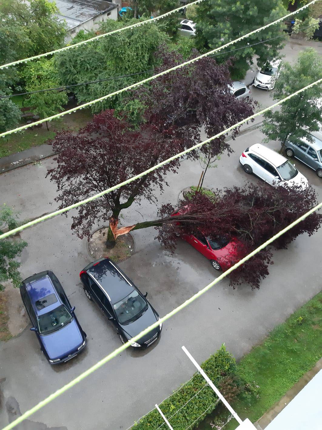 U Zagrebu i Splitu palo nekoliko stabala na ceste i aute, u Senju naleti bure od 153 km/h