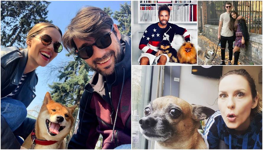 Ljubimci poznatih: Imaju tete čuvalice, svoju odjeću i igračke