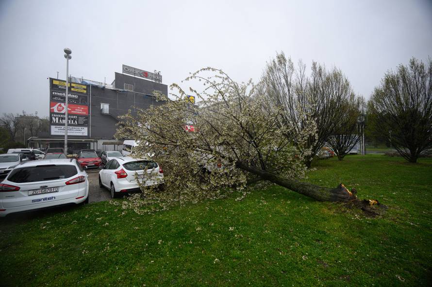 Zagreb: Olujni vjetar poharao Špansko, dignuti krovovi i isčupana stabla 