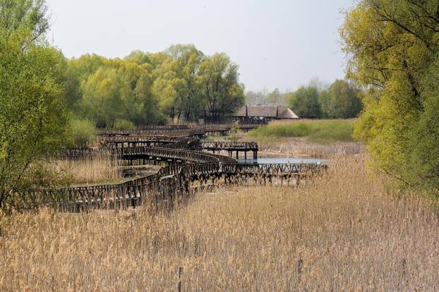 Kopački rit zatvoren je za posjetitelje