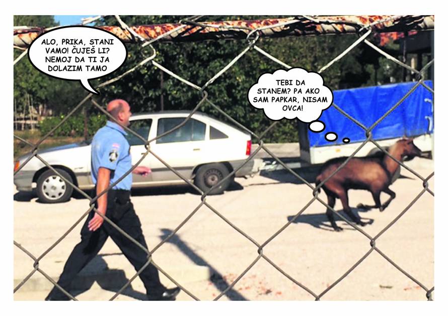 U lovu na jarca: Četri policajca i redar nasmijali su Biograđane