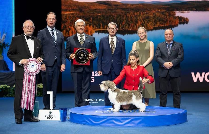 Ponosna uzgajivačica Iva Raič: 'Moja Meghan je najljepši pas na svijetu.  Još nisam svjesna...'