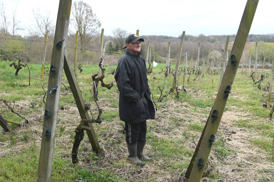 24sata Sveti Petar Čvrstec: Reportaža iz sela gdje je Goran Bregović naslijedio vinograd