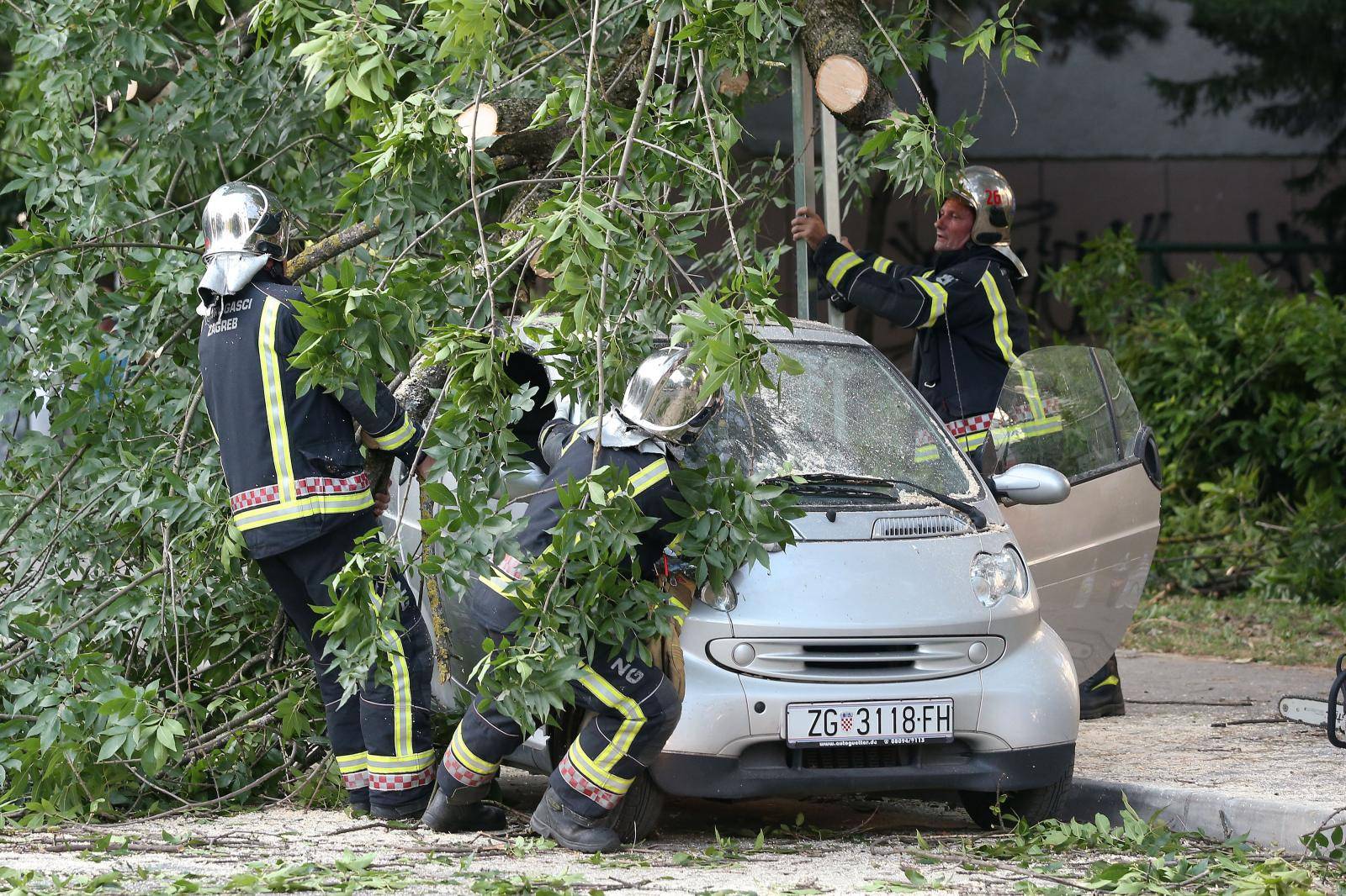 Zagreb: U Lastovskoj ulici pala grana na automobil i oÅ¡tetila ga, intervenirali vatrogasci