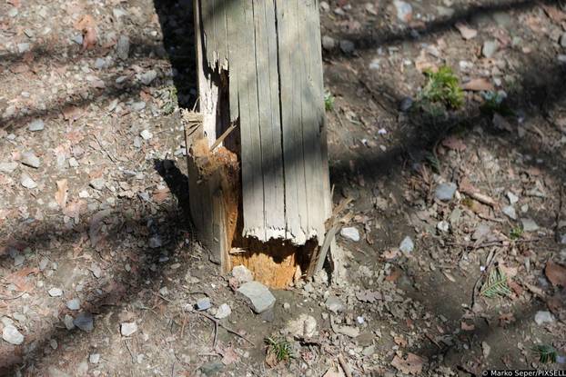 Zagreb: Tri tjedna nakon razorne oluje na Sljemenu i dalje vidljive posljedice 