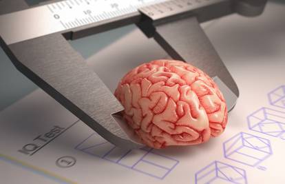 Od mita do istine: Koristimo li samo deset posto mozga ili ne?