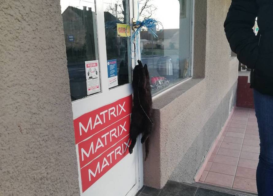 Kakvi ljudi mogu to napraviti?! Mrtvu mačku objesili na vrata