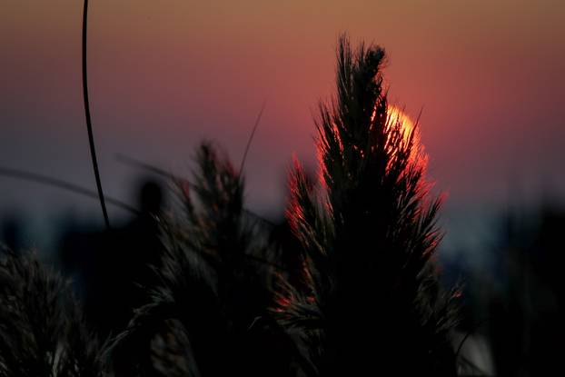 Zadar: Večernja šetnja zadarskom rivom