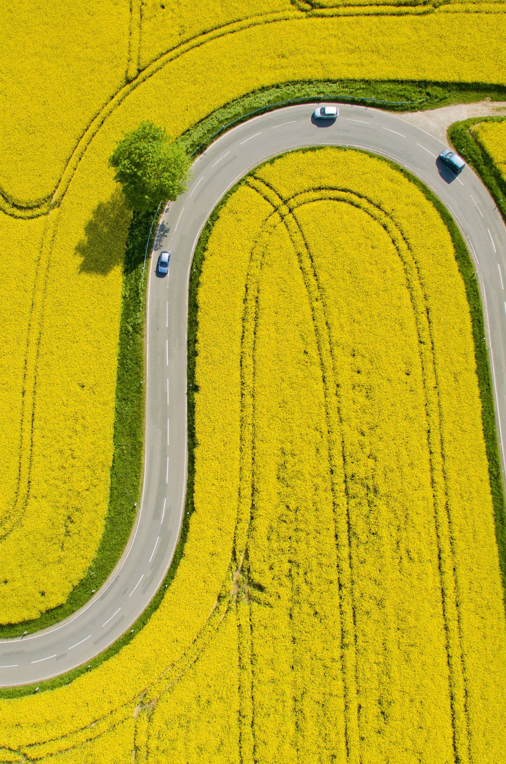 Curvy fun in northern Germany