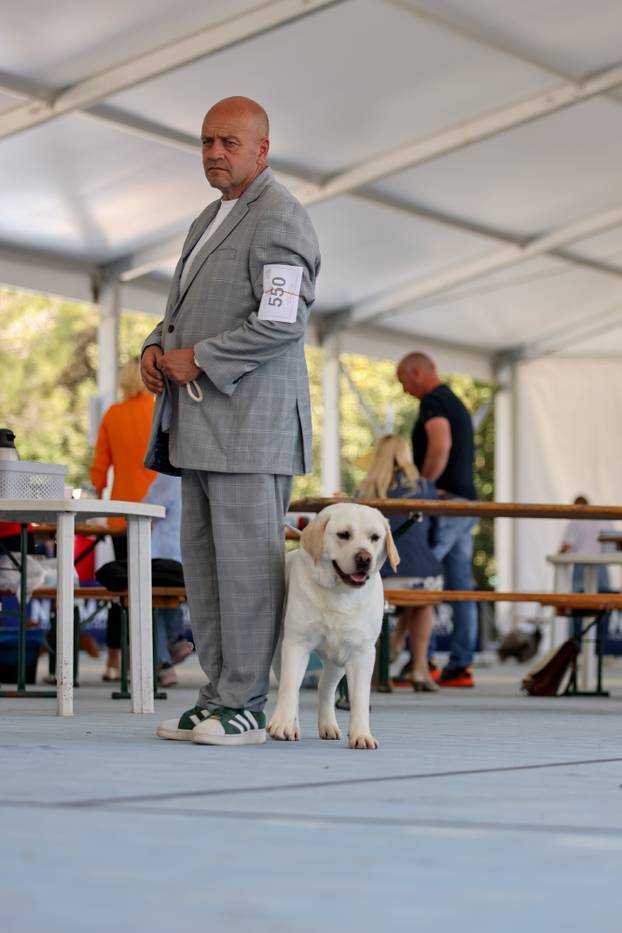 Zaton: Međunarodna izložba pasa pod nazivom CACIB Zadar 2025