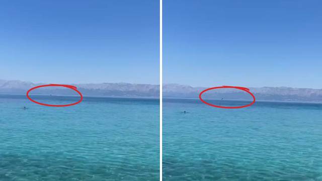 VIDEO Zaigrani dupini kod Trpnja: 'Bili su udaljeni 100 metara od obale, prekrasno'