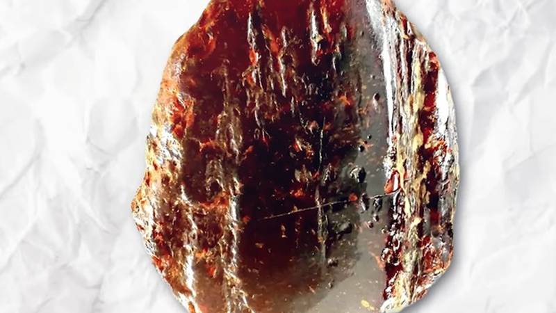 picture1 l6cZ0Bw.png