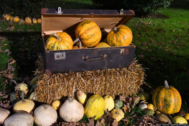 Bučijada u Ivanić Gradu, najveći sajam posvećen buči i njenim proizvodima