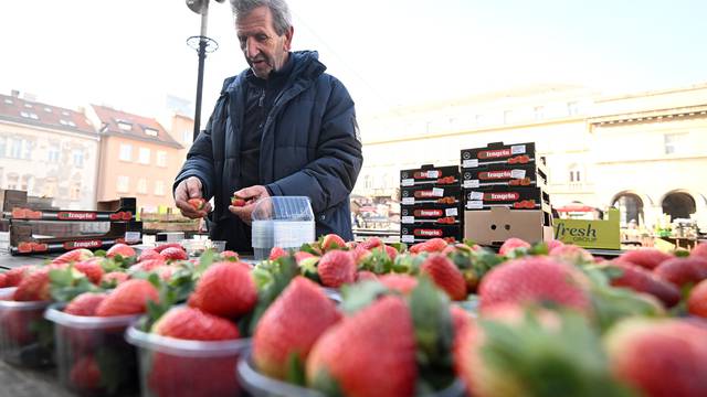 Zagreb: Mjerica jagoda na tržnici Dolac po cijeni od jednog eura