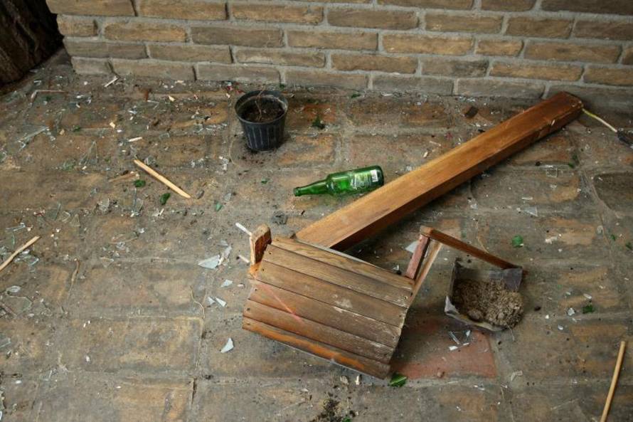 Davor Javorović/Pixsell