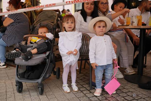 Dječje vinkovačke jeseni: Spoj folklora i slavonskih pjesama