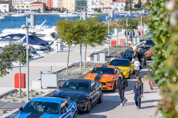 GALERIJA Kultni američki Mustanzi zablistali su u Rovinju