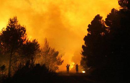 Vatrogasci gase požar kraj mjesta Konjsko u Zagori